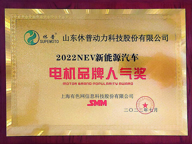 2022NEV新能源汽车电机品牌人气奖